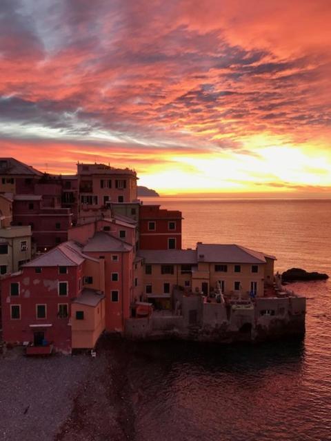 Moonlight In Boccadasse Lägenhet Genua Exteriör bild